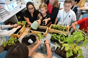 students collaborate on vertical garden