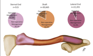 Bella Miki '25 - medical illustration