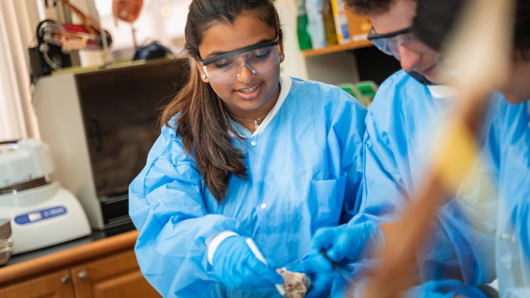 Upper school student looking at a microscope in Biomedical science class