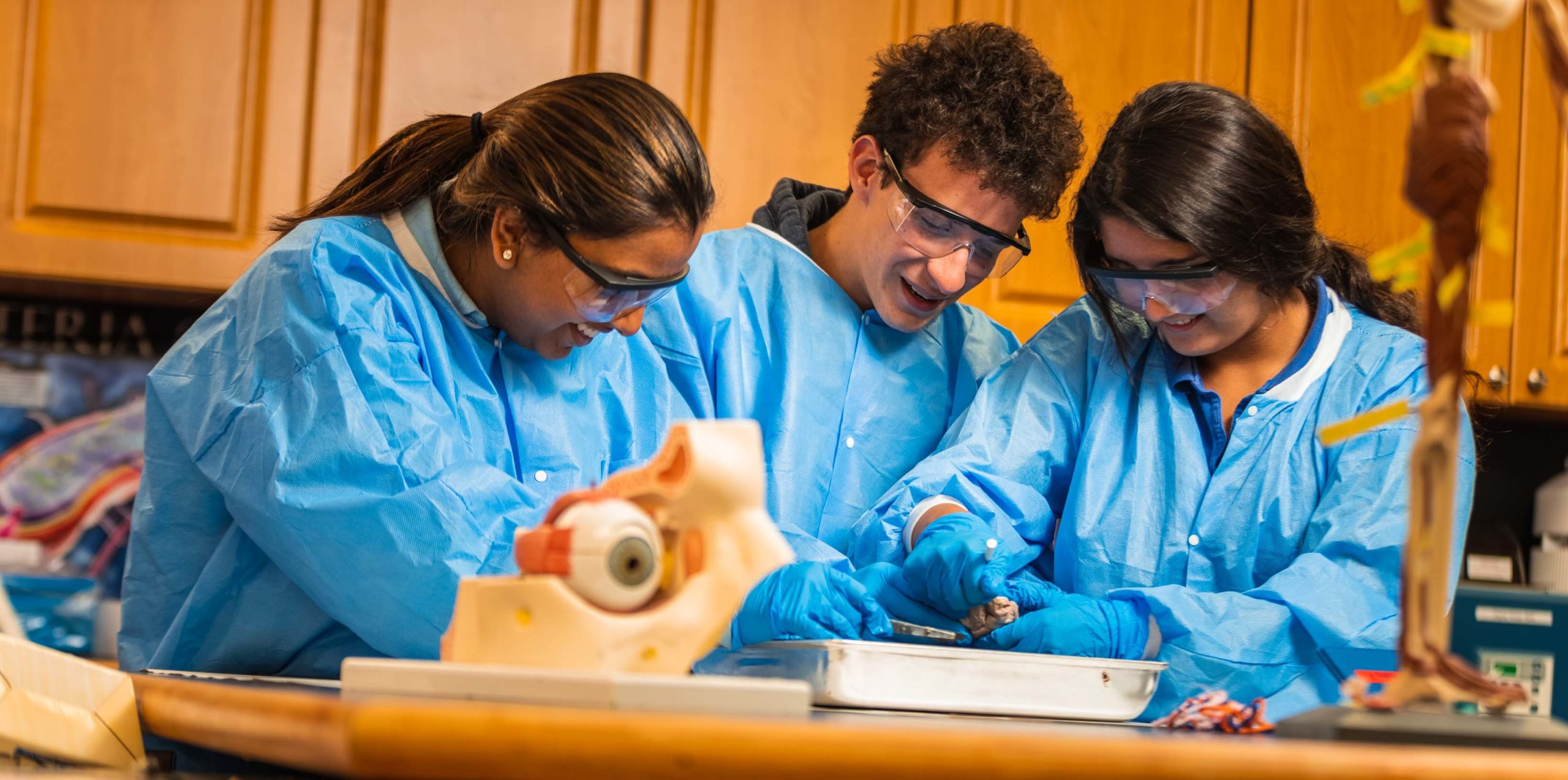 Three students dissecting an animal