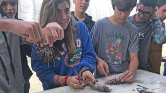 Eco club in the Bahamas.
