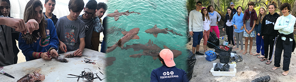 Members of the Environmental and Oceanography Club visited The Island School and Cape Eleuthera Institute in the Bahamas.