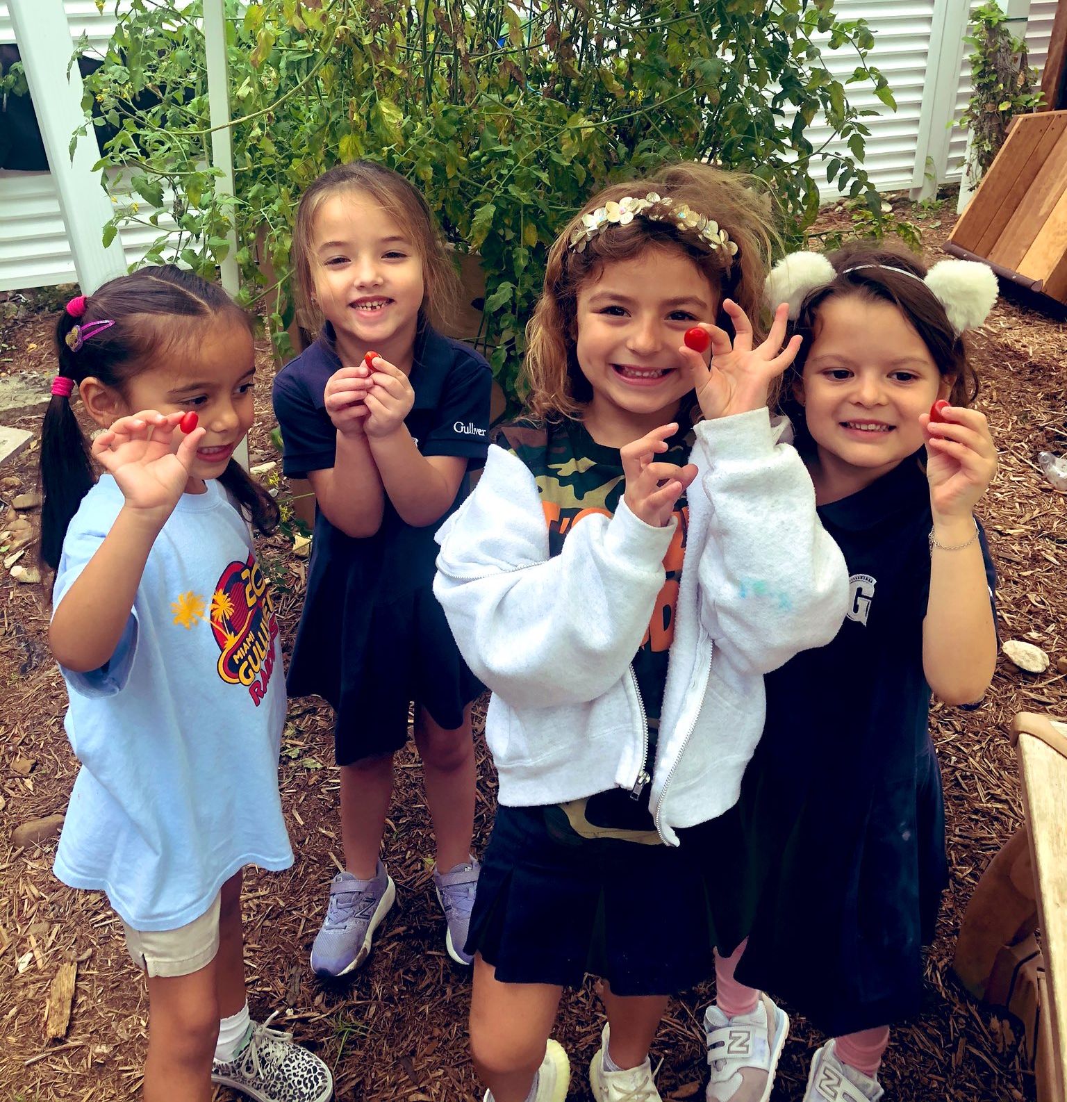 Jr.K students visited the Nature Explore Classroom and discovered a new harvest of cherry tomatoes.