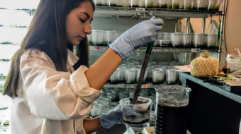Lauren Bartel performing a science experiment in the lab.