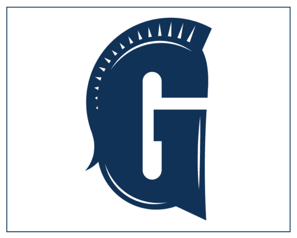 Raiders logo in navy