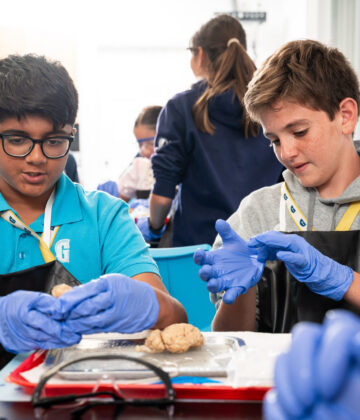 Two students wearing gloves and aprons handle a brain specimen at a science lab table, with other students working in the background.
