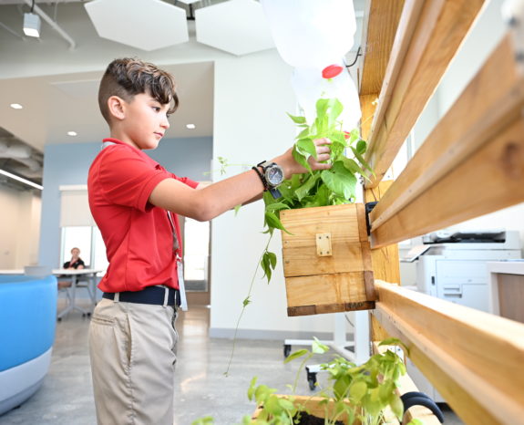 Students assemble vertical garden