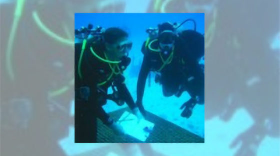 scuba divers.