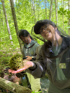 Two alumni spotlight subjects wearing bug-netting head covers stand in a forest, with one person holding a clump of moss in their hand.