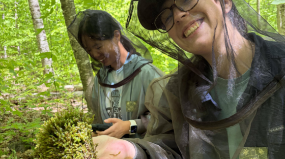 Two alumni spotlight subjects wearing bug-netting head covers stand in a forest, with one person holding a clump of moss in their hand.
