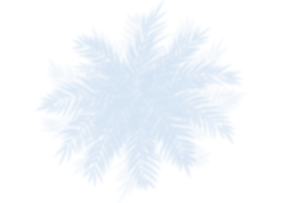 Palm image