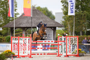 A rider on a brown horse jumping over a red and white show jumping obstacle.