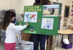 SK students completed an Animals Around the World project, learning about continents and the animals that live on each one.