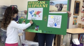 SK students completed an Animals Around the World project, learning about continents and the animals that live on each one.